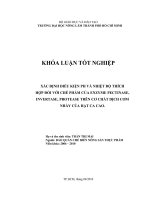 XÁC ĐỊNH ĐIỀU KIỆN PH VÀ NHIỆT ĐỘ THÍCH   HỢP ĐỐI VỚI CHẾ PHẨM CỦA ENZYME PECTINASE,  INVERTASE, PROTEASE TRÊN CƠ CHẤT DỊCH CƠM  NHẦY CỦA HẠT CA CAO. 