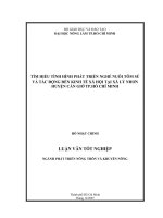   TÌM HIỂU TÌNH HÌNH PHÁT TRIỂN NGHỀ NUÔI TÔM SÚ  VÀ TÁC ĐỘNG ĐẾN KINH TẾ XÃ HỘI TẠI XÃ LÝ NHƠN  HUYỆN CẦN GIỜ TP.HỒ CHÍ MINH       