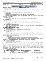 GIÁO ÁN TIN HỌC LỚP 6-TIẾT 44 (TUẦN 20)