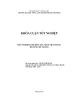     THỬ NGHIỆM CHẾ BIẾN XÚC XÍCH TIỆT TRÙNG   BỔ SUNG MÈ TRẮNG       