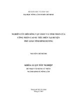 NGHIÊN CỨU ĐỜI SỐNG VẬT CHẤT VÀ TINH THẦN CỦA  CÔNG NHÂN CAO SU TIỂU ĐIỀN TẠI HUYỆN   PHÚ GIÁO TỈNH BÌNH DƯƠNG 