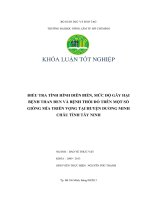 ĐIỀU TRA TÌNH HÌNH DIỄN BIẾN, MỨC ĐỘ GÂY HẠI  BỆNH THAN ĐEN VÀ BỆNH THỐI ĐỎ TRÊN MỘT SỐ  GIỐNG MÍA TRIỂN VỌNG TẠI HUYỆN DƢƠNG MINH  CHÂU TỈNH TÂY NINH   