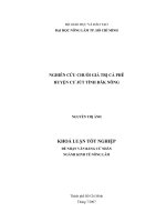   NGHIÊN CỨU CHUỖI GIÁ TRỊ CÀ PHÊ   HUYỆN CƯ JÚT TỈNH ĐĂK NÔNG   