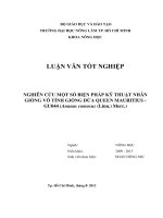 NGHIÊN CỨU MỘT SỐ BIỆN PHÁP KỸ THUẬT NHÂN  GIỐNG VÔ TÍNH GIỐNG DỨA QUEEN MAURITIUS  GU044 (Ananas comosus (Linn.) Merr.)   