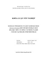 ĐÁNH GIÁ TÍNH KHÁNG CỦA RẦY XANH HAI CHẤM  (Amrasca devastans) ĐỐI VỚI MỘT SỐ HOẠT CHẤT   HÓA HỌC TRÊN CÂY BÔNG VẢI TRONG VỤ KHÔ   NĂM 2013 TẠI NHA HỐ, TỈNH NINH THUẬN 