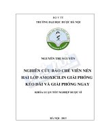 Nghiên cứu bào chế viên nén hai lớp amoxicilin giải phóng kéo dài và giải phóng ngay 