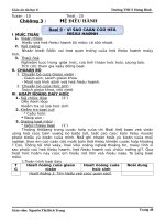 GIÁO ÁN TIN HỌC LỚP 6-TIẾT 20 (TUẦN 6)