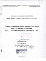 Analyse et proposition de mise en valeur des espaces publics et des rues dans la ville de sayaboury, au nord du laos (tt) 