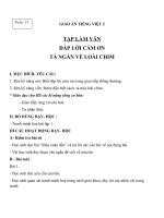 Giáo án Tiếng Việt 2 tuần 21 bài: Tập làm văn  Đáp lời cảm ơn, tả ngắn về loài chim