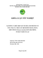 TẠO DÒNG VÀ BIỂU HIỆN GEN MÃ HÓA CHO PROTEIN VỎ  VP19, VP26 CỦA VIRUS GÂY BỆNH ĐỐM TRẮNG (WSSV)  TRÊN TÔM SÚ (Penaeus monodon) BẰNG HỆ THỐNG   TẾ BÀO VI KHUẨN E.coli 