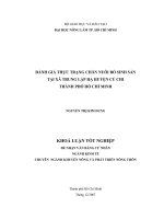 ĐÁNH GIÁ THỰC TRẠNG CHĂN NUÔI BÒ SINH SẢN  TẠI XÃ TRUNG LẬP HẠ HUYỆN CỦ CHI  THÀNH PHỐ HỒ CHÍ MINH 