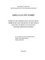   NGHIÊN CỨU QUY TRÌNH KỸ THUẬT SẢN XUẤT THUỐC  TRỊ BỆNH TIÊU CHẢY CHO HEO SỮA TỪ MỘT SỐ HOẠT  CHẤT THỨ CẤP TRONG LÁ CÂY XUÂN HOA  PSEUDERANTHEMUM PALATIFERUM   