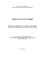   BƯỚC ĐẦU NGHIÊN CỨU XỬ LÝ NaHSO3 VÀ LỰA CHỌN  NHIỆT ĐỘ SẤY PHÙ HỢP ĐỂ GIỮ MÀU XANH CỦA TIÊU         