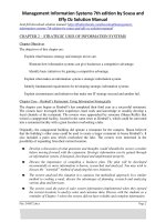 Management information systems 7th edition by sousa and effy oz solution manual  