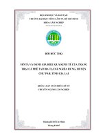   MÔ TẢ VÀ ĐÁNH GIÁ HIỆU QUẢ KINH TẾ CỦA TRANG  TRẠI CÀ PHÊ TAM BA TẠI XÃ NGHĨA HƯNG, HUYỆN  CHƯ PẢH, TỈNH GIA LAI   
