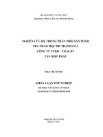 NGHIÊN CỨU HỆ THỐNG PHÂN PHỐI SẢN PHẨM  TRÀ THẢO MỘC DR THANH CỦA   CÔNG TY TNHH – TM  DV   TÂN HIỆP PHÁT   