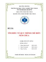 LUẬN văn  tìm hiểu về quy trình công nghệ sản xuất chế biến nem chua