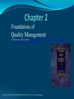 Managing for quality and performance excellence 10th edition by evans and lindsay solution manual 