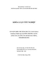     XÂY DỰNG BIỂU THỂ TÍCH CHO CÂY CAO SU (Hevea  brasiliensis Muell Arg) TẠI NÔNG TRƯỜNG CAO SU  LONG TÂN, XÃ LONG TÂN, HUYỆN DẦU TIẾNG,   TỈNH BÌNH DƯƠNG   