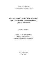   PHÂN TÍCH LỢI ÍCH – CHI PHÍ CÁC MÔ HÌNH TRỒNG  XEN CANH CÂY CAO SU GIAI ĐOẠN KIẾN THIẾT  CƠ BẢN Ở  BÌNH PHƯỚC 