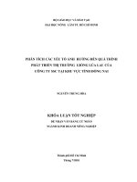 PHÂN TÍCH CÁC YẾU TỐ ẢNH  HƯỞNG ĐẾN QUÁ TRÌNH  PHÁT TRIỂN THỊ TRƯỜNG  GIỐNG LÚA LAI  CỦA   CÔNG TY SSC TẠI KHU VỰC TỈNH ĐỒNG NAI   