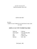 Nghiên cứu quy trình sản xuất đồ uống từ đậu nành nảy mầm 