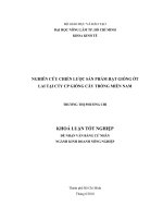   NGHIÊN CỨU CHIẾN LƯỢC SẢN PHẨM HẠT GIỐNG ỚT  LAI TẠI CTY CP GIỐNG CÂY TRỒNG MIỀN NAM   