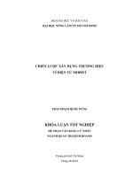   CHIẾN LƯỢC XÂY DỰNG THƯƠNG HIỆU   VÍ ĐIỆN TỬ MOBIVÍ   