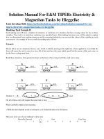 Solution manual for EM TIPERs electricity magnetism tasks by hieggelke 