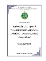 KHẢO SÁT CẤU TẠO VÀ  THÀNH PHẦN HÓA HỌC CỦA  GỖ HÔNG – Paulownia fortunie  (Seem). Hemsl 