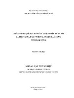     PHÂN TÍCH LỢI ÍCH, CHI PHÍ CỦA BIỆN PHÁP XỬ LÝ VỎ  CÀ PHÊ TẠI XÃ ĐĂK N’DRUNG, HUYỆN ĐĂK SONG,   TỈNH ĐĂK NÔNG   