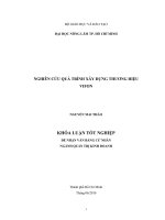   NGHIÊN CỨU QUÁ TRÌNH XÂY DỰNG THƯƠNG HIỆU  VIFON 