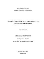     TÌM HIỂU CHIẾN LƯỢC PHÂN PHỐI NỘI ĐỊA CỦA  CÔNG TY TNHH ĐĂNG LONG   