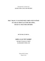   THC TRNG VÀ GII PHÁP PHÁT TRIN CHN NUÔI BÒ  SA H  GIA ÌNH TI XÃ PHÚ HÒA ÔNG,   HUYN C CHI, TP H CHÍ MINH   