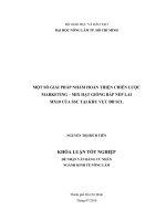     MỘT SỐ GIẢI PHÁP NHẰM HOÀN THIỆN CHIẾN LƯỢC  MARKETING – MIX HẠT GIỐNG BẮP NẾP LAI   MX10 CỦA SSC TẠI KHU VỰC ĐB SCL   