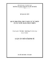QUẢN TRỊ CÔNG, FDI VÀ ĐẦU TƯ TƯ NHÂN Ở CÁC NƯỚC ĐANG PHÁT TRIỂN (Luận án tiến sĩ)