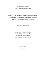   PHÂN TÍCH HỆ THỐNG KÊNH PHÂN PHỐI NÔNG DƯỢC  CỦA CÔNG TY CỔ PHẦN KHỬ TRÙNG VIỆT NAM  TẠI  KHU VỰC ĐỒNG BẰNG SÔNG CỬU LONG 