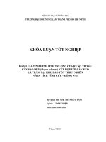     ĐÁNH GIÁ TÌNH HÌNH SINH TRƯỞNG CỦA RỪNG TRỒNG   CÂY SAO ĐEN (Hopea odorata) KẾT HỢP VỚI CÂY KEO   LÁ TRÀM TẠI KHU BẢO TỒN THIÊN NHIÊN   VÀ DI TÍCH VĨNH CỬU – ĐỒNG NAI       