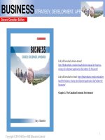 Solution manual for business strategy development application 2nd edition by bissonette 