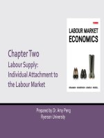 Labour market economics canadian 8th edition by benjamin gunderson lemieux riddell solution manual 
