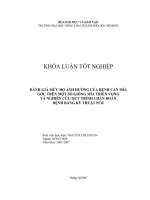     ĐÁNH GIÁ MỨC ĐỘ ẢNH HƯỞNG CỦA BỆNH CẰN MÍA  GỐC TRÊN MỘT SỐ GIỐNG MÍA TRIỂN VỌNG  VÀ NGHIÊN CỨU QUY TRÌNH CHẨN ĐOÁN  BỆNH BẰNG KỸ THUẬT PCR     