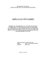     NGHIÊN CỨU ẢNH HƯỞNG CỦA CÁC MỨC ĐỘ ẨM HẠT  VÀ NHIỆT ĐỘ CẤT TRỮ TỚI KHẢ NĂNG NẢY MẦM HẠT  DU SAM (Keteleeria evelyniana Mast) THU HÁI TẠI TỈNH LÂM  ĐỒNG VÀ HẠT VÊN VÊN (Anisoptera costata Karth) THU HÁI  TẠI TỈNH BÀ RỊA VŨNG TÀU   