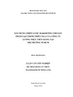   XÂY DỰNG CHIẾN LƯỢC MAKERTING CHO SẢN  PHẨM GẠO THƠM THIÊN NGA CỦA CÔNG TY  LƯƠNG THỰC TIỀN GIANG TẠI   THỊ TRƯỜNG TP.HCM   