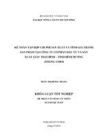     KẾ TOÁN TẬP HỢP CHI PHÍ SẢN XUẤT VÀ TÍNH GIÁ THÀNH  SẢN PHẨM TẠI CÔNG TY CỔ PHẦN ĐẦU TƯ VÀ SẢN   XUẤT GIÀY THÁI BÌNH – TỈNH BÌNH DƯƠNG  (THÁNG 32010) 