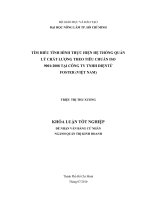   TÌM HIỂU TÌNH HÌNH THỰC HIỆN HỆ THỐNG QUẢN  LÝ CHẤT LƯỢNG THEO TIÊU CHUẨN ISO  9001:2008 TẠI CÔNG TY TNHH ĐIỆNTỬ   FOSTER (VIỆT NAM)   