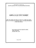   ĐIỀU TRA GIỐNG, KỸ THUẬT CANH TÁC VÀ HIỆU QUẢ KINH  TẾ CỦA CÂY NHO TẠI XÃ PHƯỚC THUẬN  HUYỆN NINH PHƯỚC  TỈNH NINH THUẬN     
