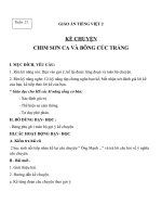 Giáo án Tiếng Việt 2 tuần 21 bài: Kể chuyện  Chim sơn ca và bông cúc trắng