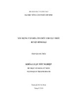 XÂY DỰNG VĂN HÓA TỔ CHỨC CHI CỤC THUẾ HUYỆN BÌNH ĐẠI