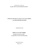     ĐÁNH GIÁ TỔN HẠI CỦA VIỆC ÙN TẮC GIAO THÔNG   TẠI THÀNH PHỐ HỒ CHÍ MINH 