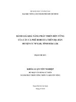   ĐÁNH GIÁ KHẢ NĂNG PHÁT TRIỂN BỀN VỮNG  CỦA CÂY CÀ PHÊ ROBUSTA TRÊN ĐỊA BÀN  HUYỆN CƯ M’GAR, TỈNH ĐẮK LẮK 